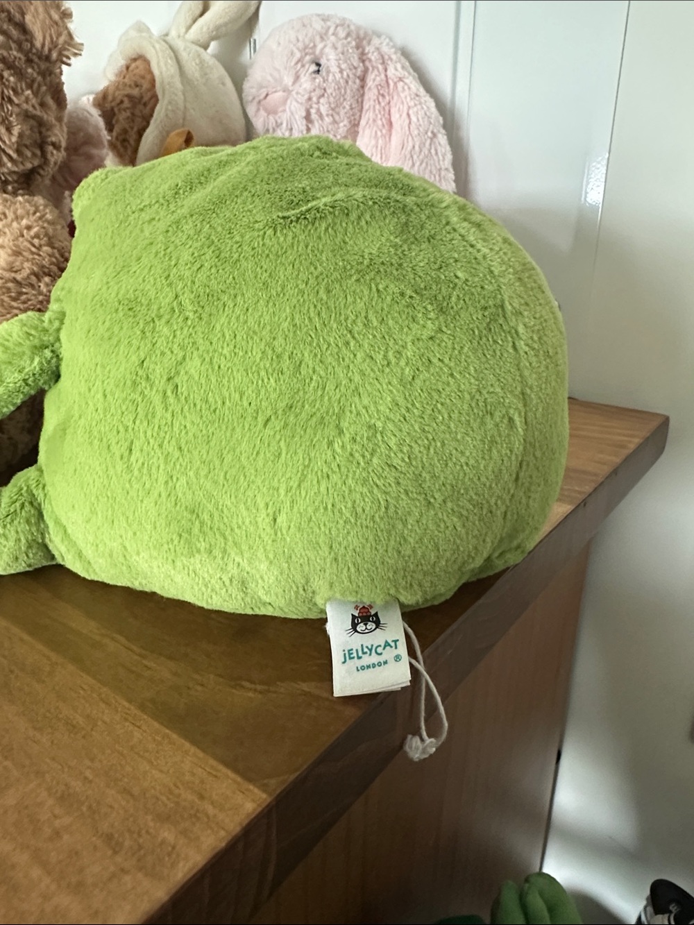 Jellycat Ricky Rain Frog - Picture 3 of 5